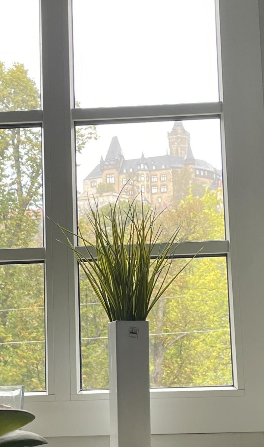 ヴェルニゲローデHaus Kreuzberg Mit Schlossblickアパートメント エクステリア 写真